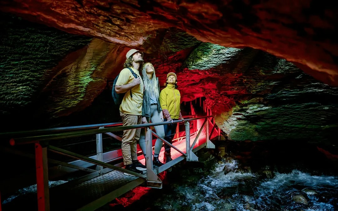 Te Anau Glowworm Caves Guided Tour Image 4