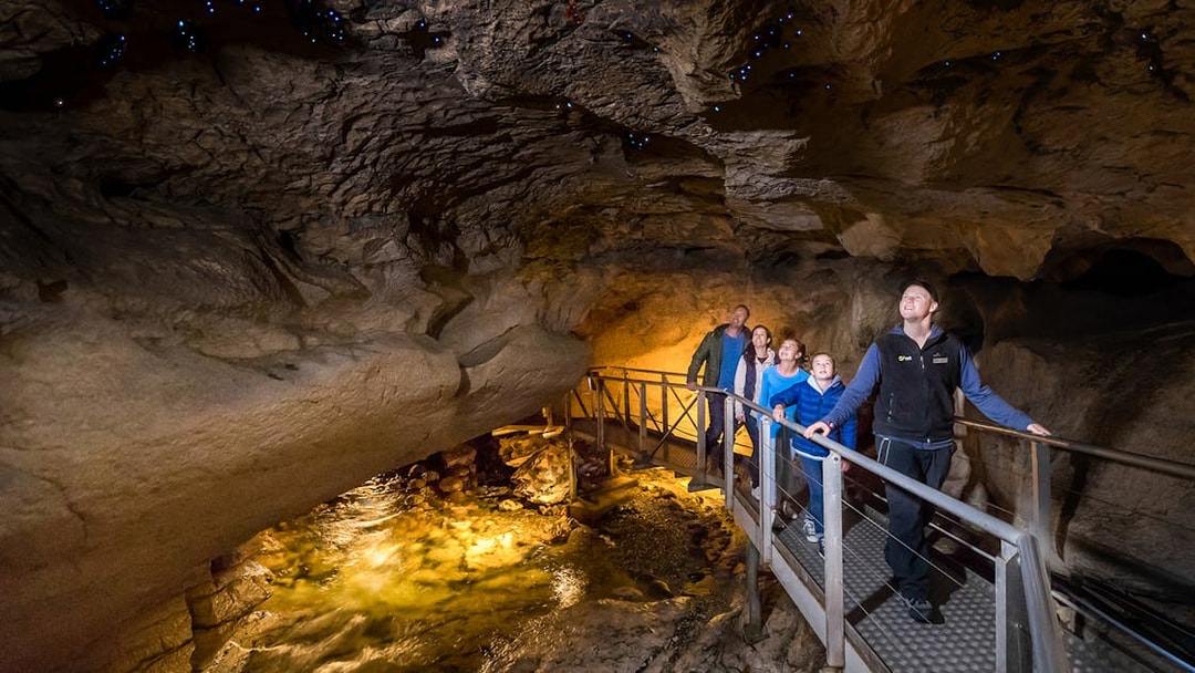 Visitors exploring Te Anau Glowworm Caves on a guided tour, viewing glowworms on the cave ceiling.