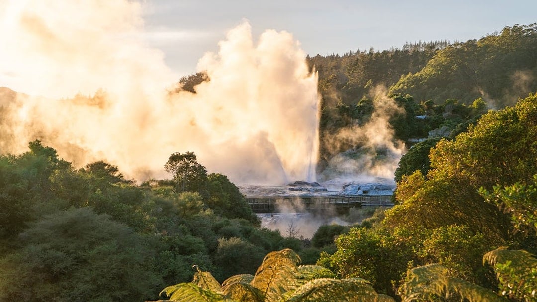 Pōhutu Geyser erupting at Te Puia, Rotorua, surrounded by lush greenery.