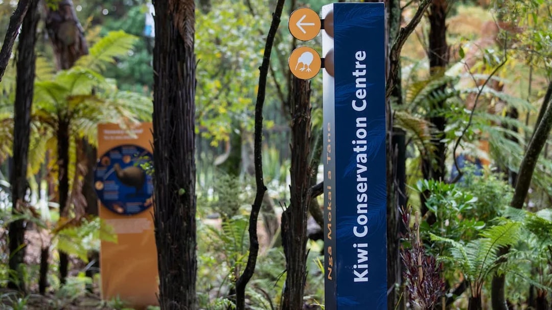 Kiwi Conservation Centre sign surrounded by lush forest at Te Puia, New Zealand.