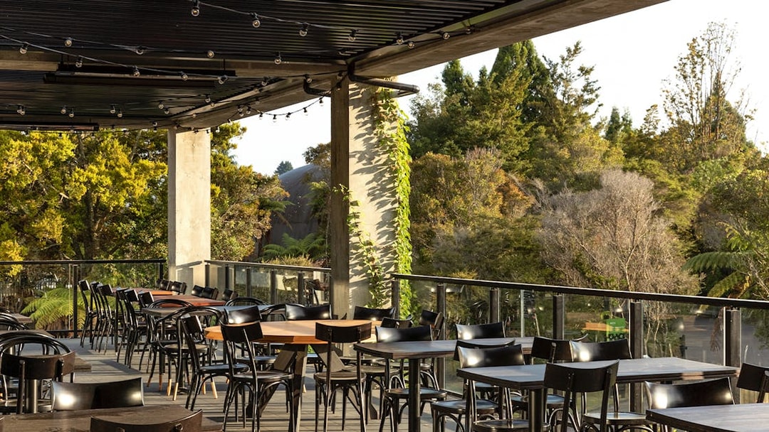 Outdoor dining area at Te Puia with forest view, part of the Te Rā Guided Experience.