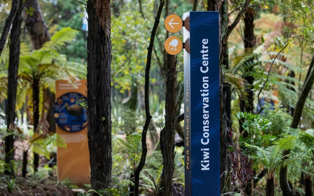Te Puia: Te Pō Combo with Guided Tour, Cultural Performance & Hangi Buffet Dinner Image 11