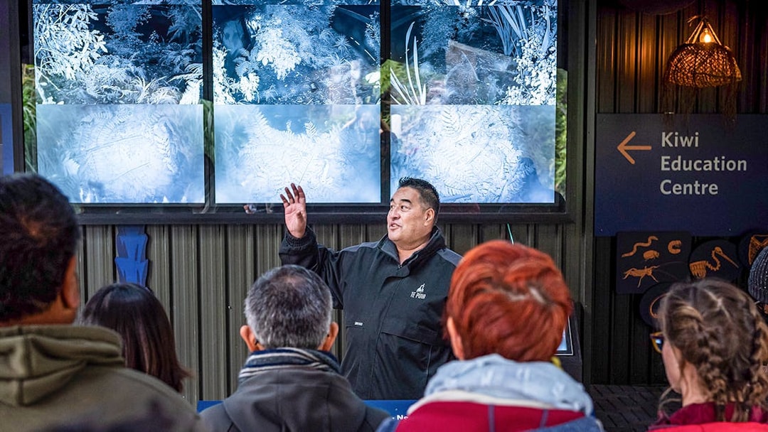 Guide explaining exhibits at Kiwi Education Centre, Te Puia, New Zealand.