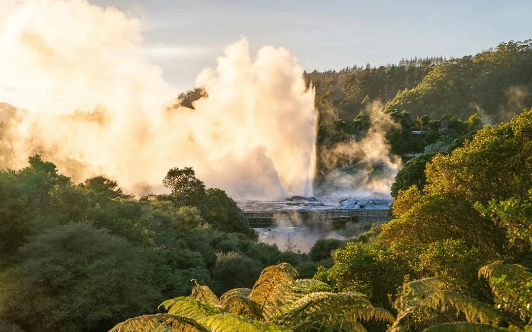 Te Puia: Te Rā Guided Experience + Haka Combo Image 6