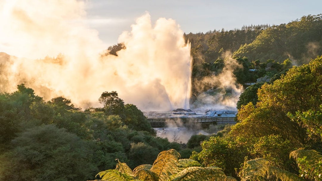 Pōhutu Geyser erupting at Te Puia, Rotorua, surrounded by lush greenery.