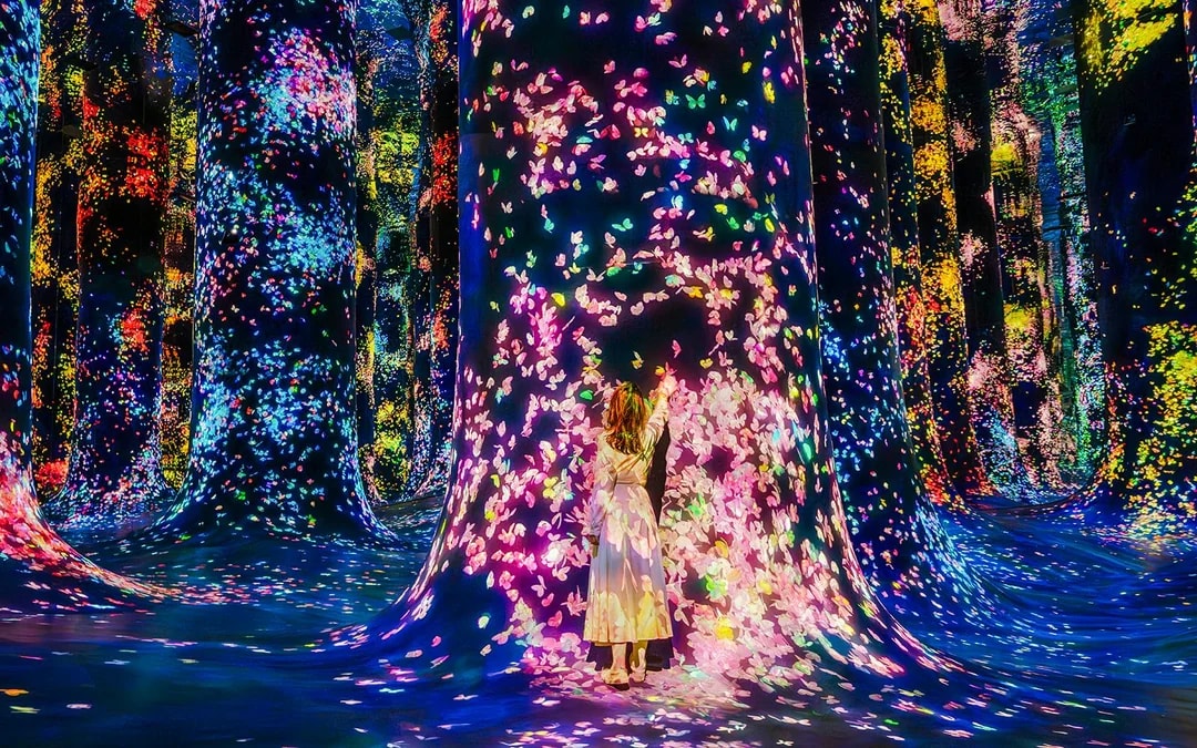 teamLab Phenomena Abu Dhabi Tickets Image 6