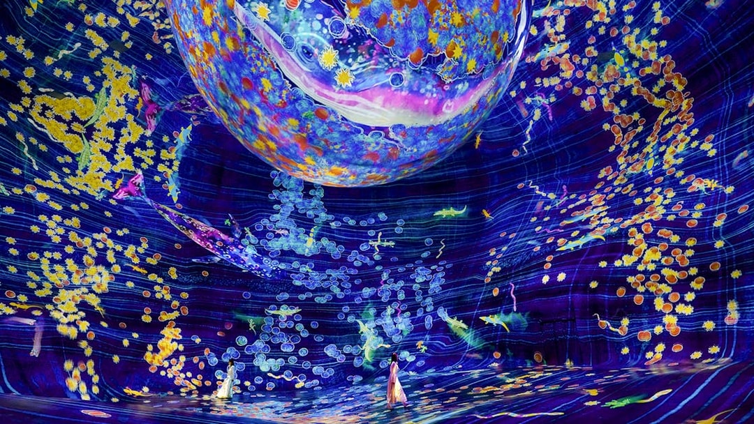 Interactive digital art installation at Team Lab Abu Dhabi with vibrant colors and floating elements.