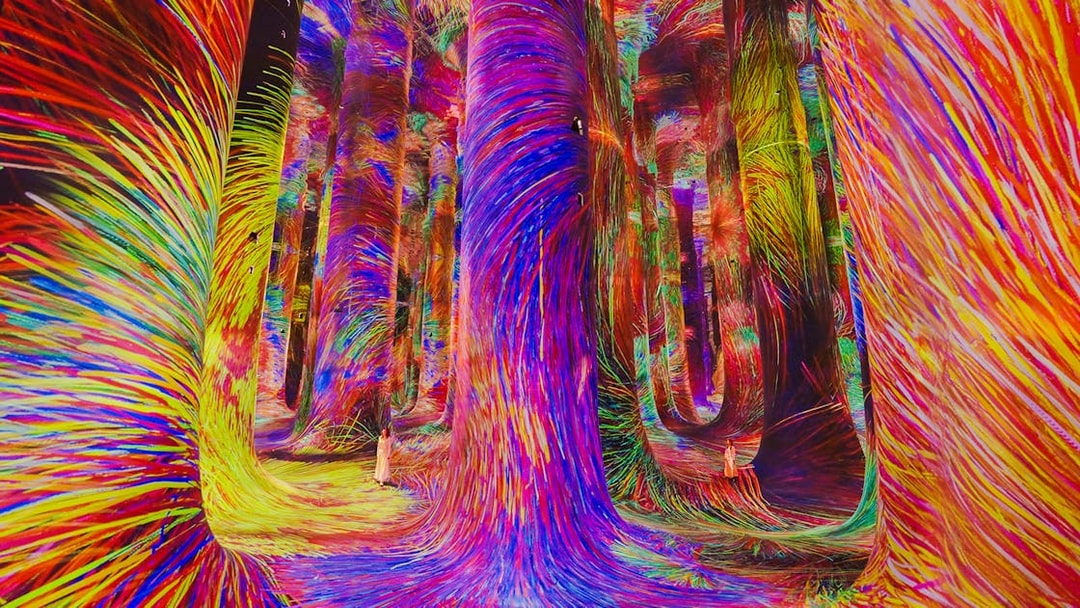 Immersive digital art installation with vibrant colors at Team Lab Abu Dhabi.