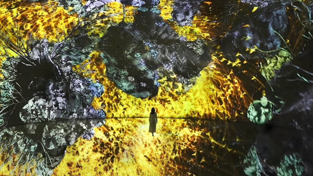 Immersive digital art display at TeamLab Phenomena Abu Dhabi with vibrant colors and abstract patterns.