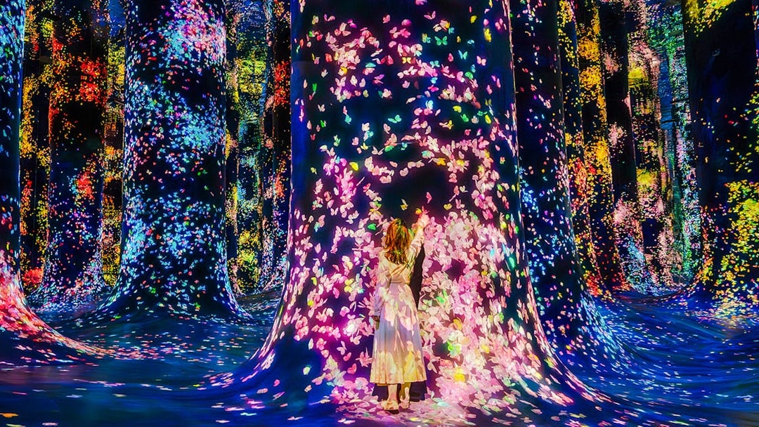 Interactive digital art installation with colorful lights at Team Lab Abu Dhabi.
