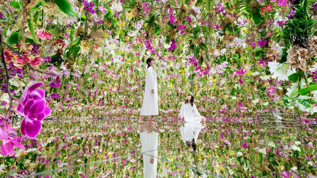 Visitors in a floral room at TeamLab Planets Tokyo immersive art exhibit.