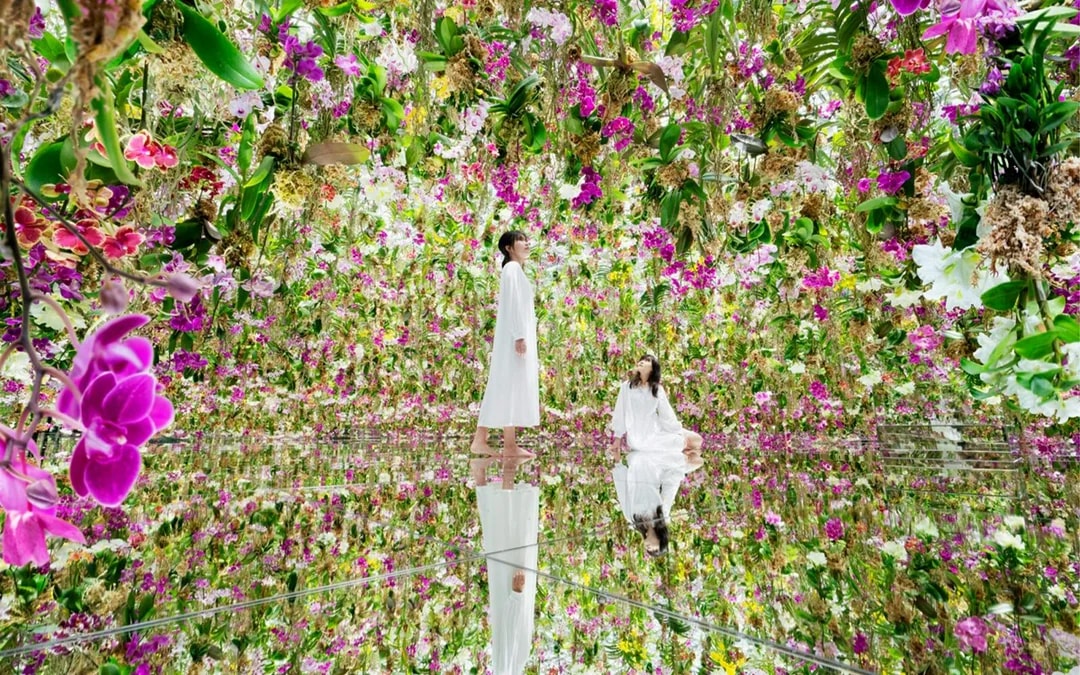 teamLab Planets TOKYO Tickets Image 8