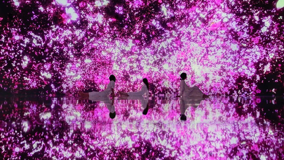 Visitors at teamLab Planets Tokyo surrounded by immersive pink floral digital art.