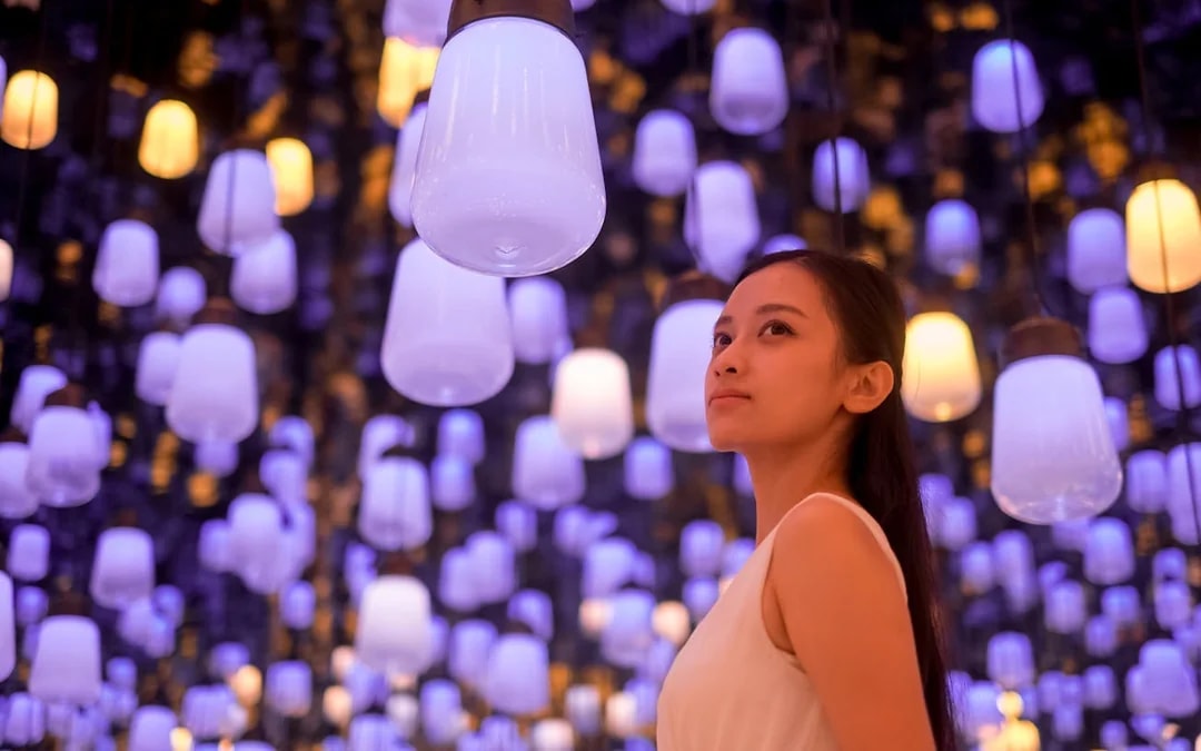 teamLab Biovortex Tickets with Kyoto Guided Tour Image 2