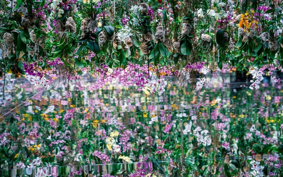teamLab Borderless Tickets: Guided Tokyo Tours Image 2