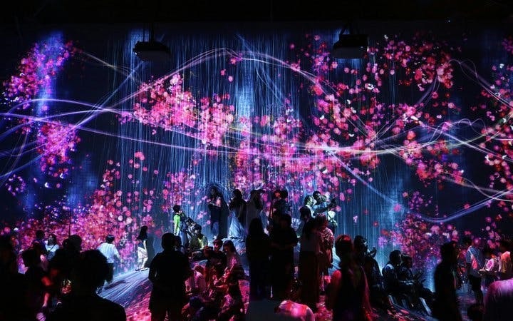 teamLab Borderless Tickets: Guided Tokyo Tours Image 3
