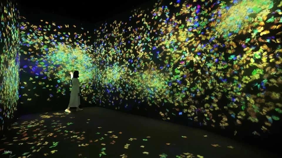 TeamLab Forest Fukuoka Ticket–SBI Securities with Instant Confirmation | Japan