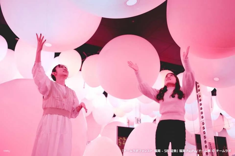 TeamLab Forest Fukuoka Ticket–SBI Securities with Instant Confirmation | Japan