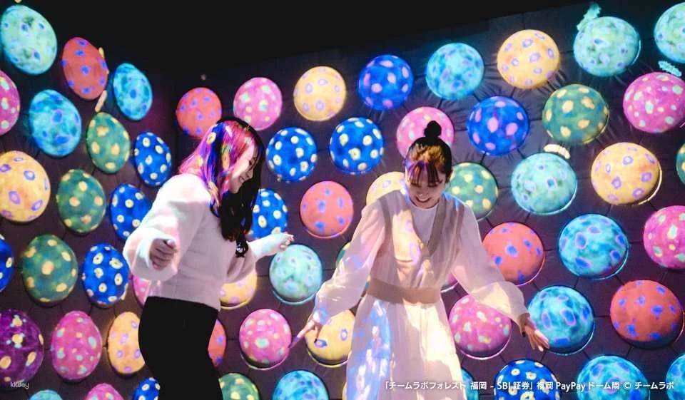 TeamLab Forest Fukuoka Ticket–SBI Securities with Instant Confirmation | Japan