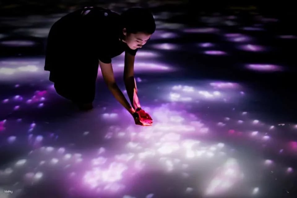 TeamLab Planets TOKYO Ticket