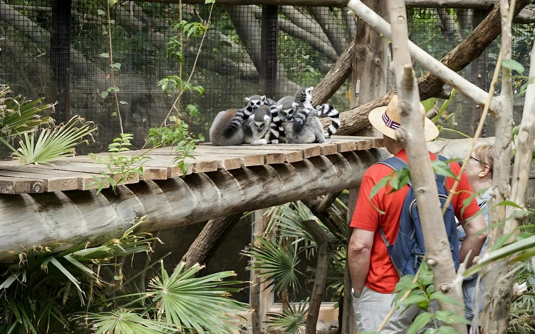 Tenerife Jungle Park Tickets Image 7
