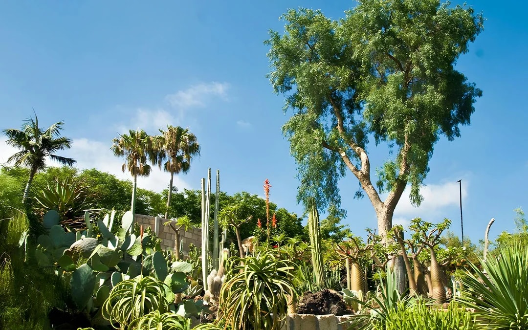 Tenerife Jungle Park Tickets Image 10
