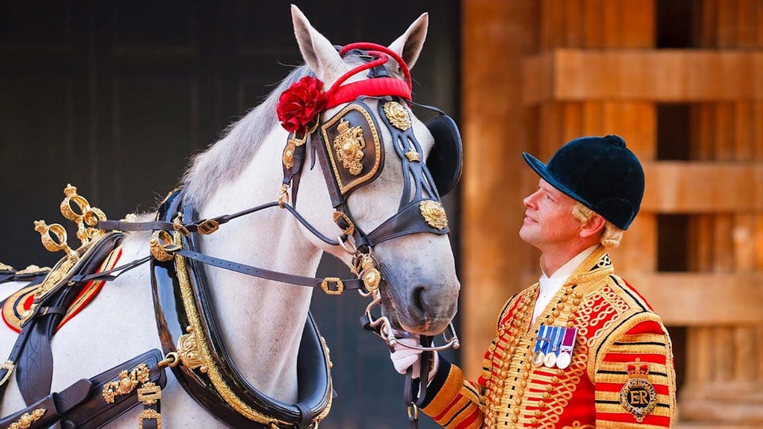 Royal guard with horse in ceremonial attire at Buckingham Palace.