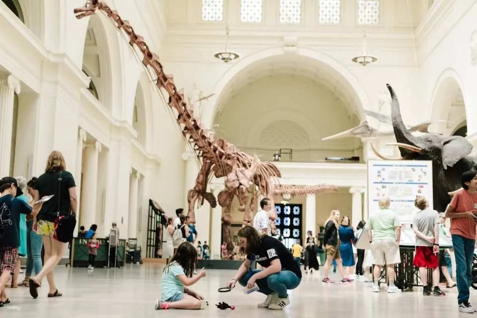 The Field Museum of Natural History |  Chicago