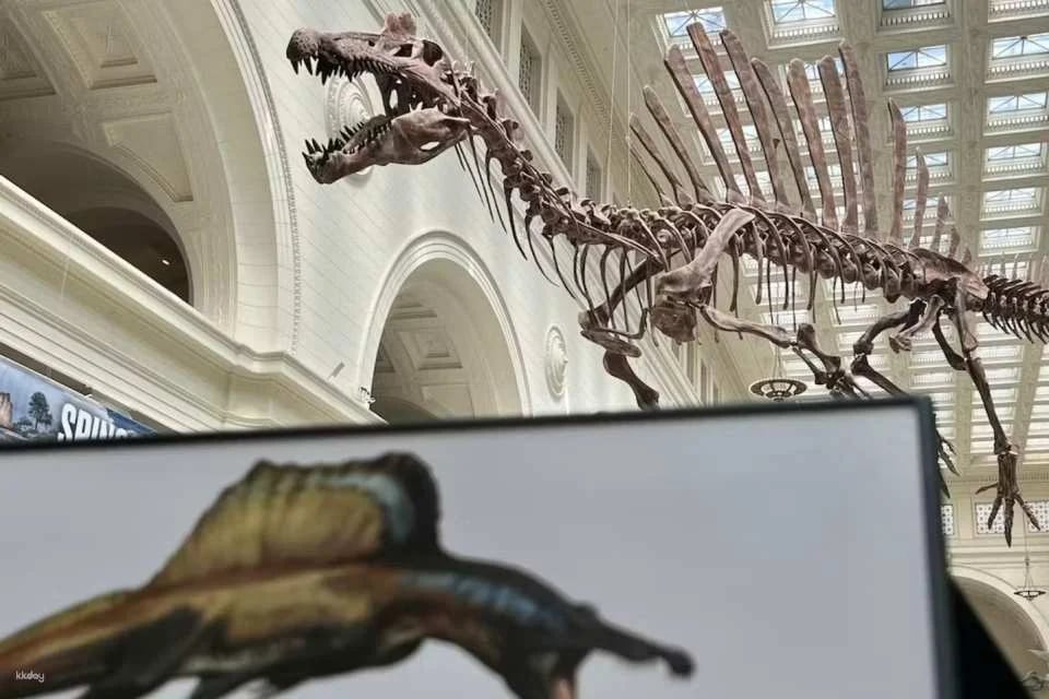 The Field Museum of Natural History |  Chicago