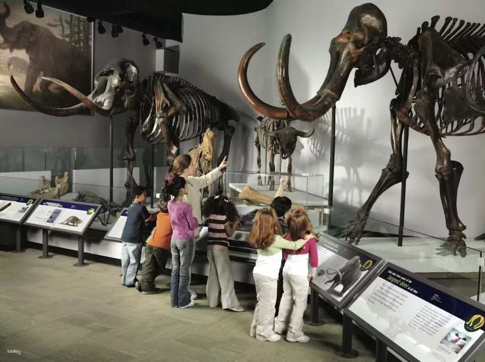 The Field Museum of Natural History |  Chicago