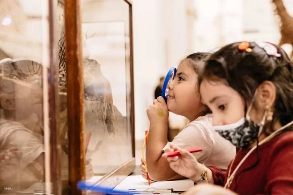 The Field Museum of Natural History |  Chicago