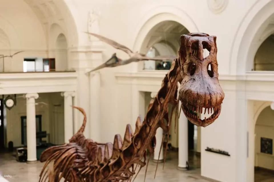 The Field Museum of Natural History |  Chicago