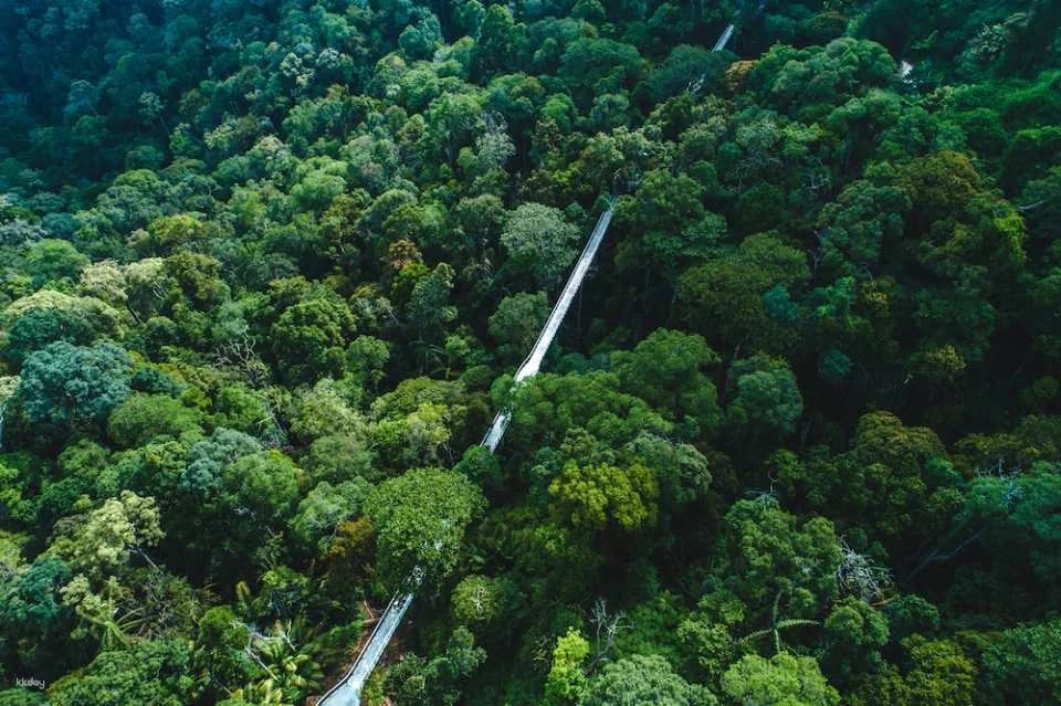 The Habitat Penang Hill Ticket | Malaysia