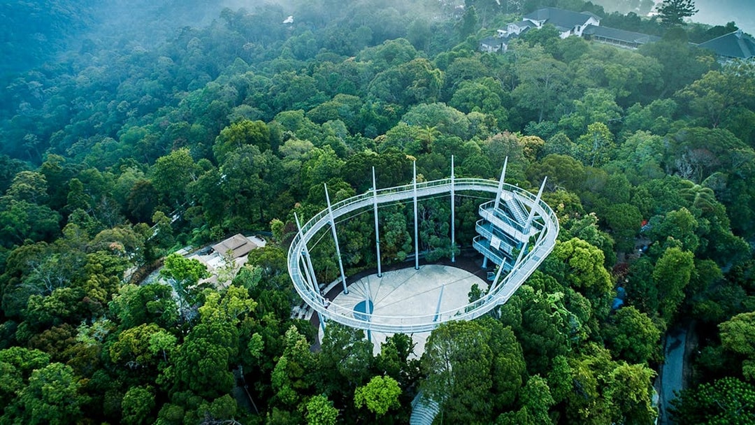 Aerial view of the canopy walk at Habitat Penang Hill surrounded by lush forest.