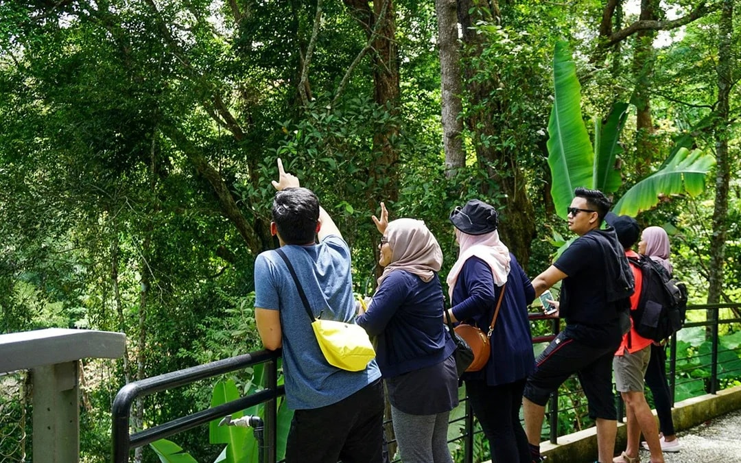 The Habitat Penang Hill Tickets Image 6