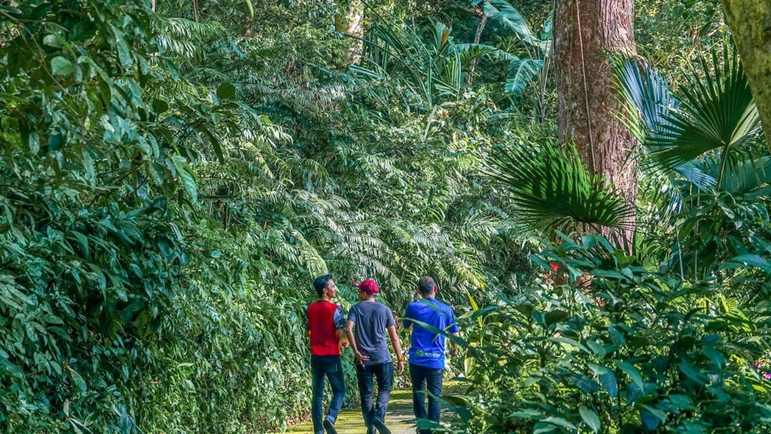 Guests walking through lush greenery at Habitat Penang Hill.