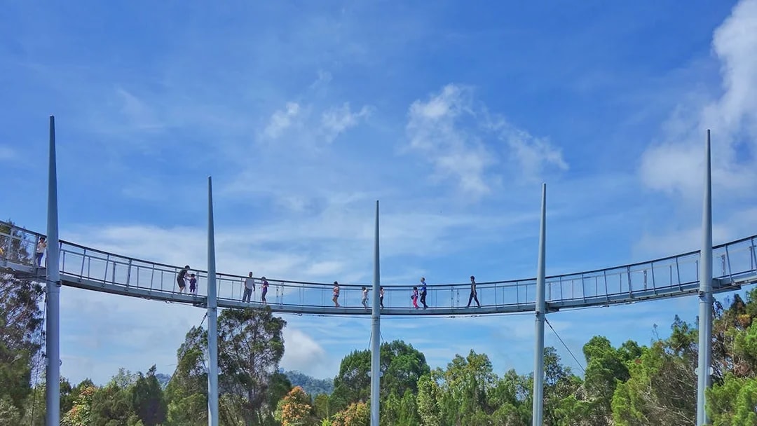 Guests walking on canopy bridge at Habitat Penang Hill, surrounded by lush forest.