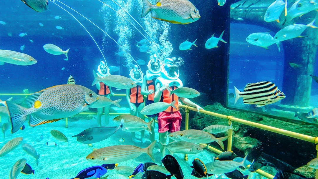 Underwater adventure with divers and fish at The Land of Legends theme park.