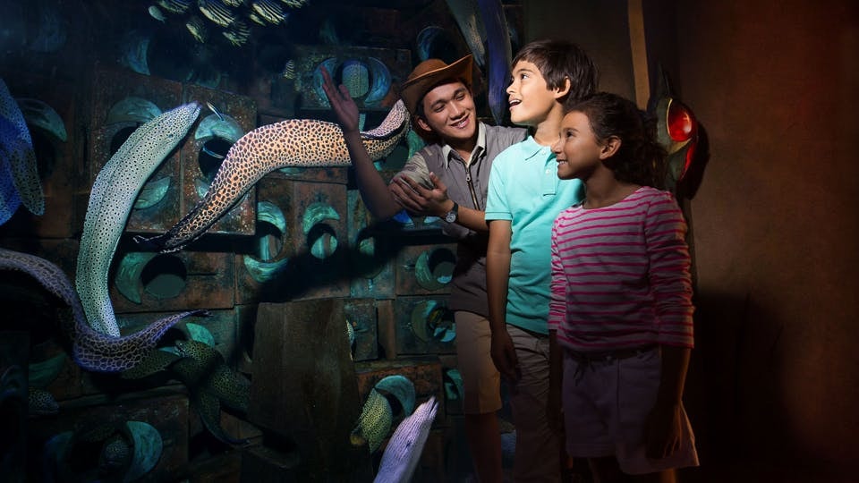 Family exploring The Lost Chambers Aquarium at IMG Worlds of Adventure, Dubai.