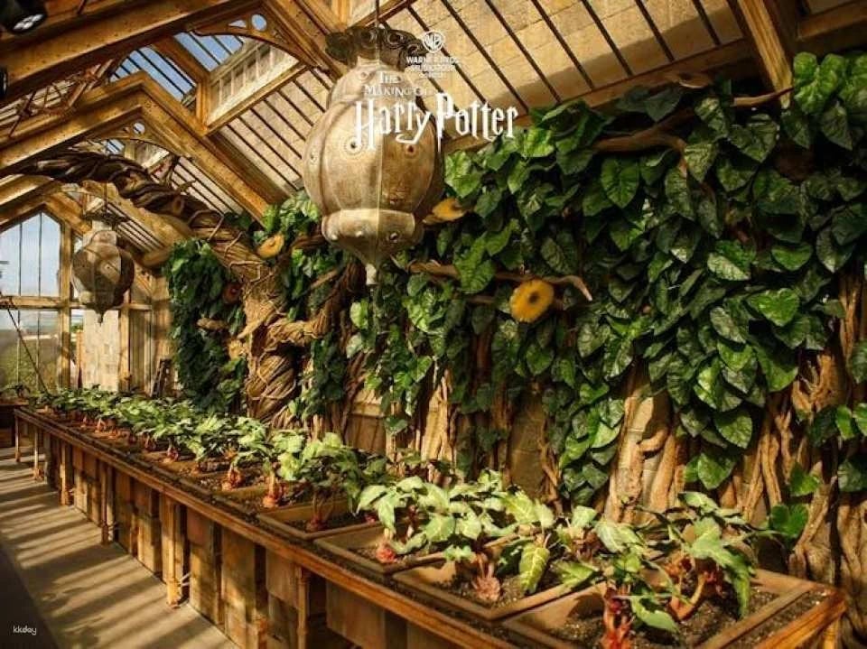 The Making of Harry Potter Guided Tour of London Warner Bros. Studio