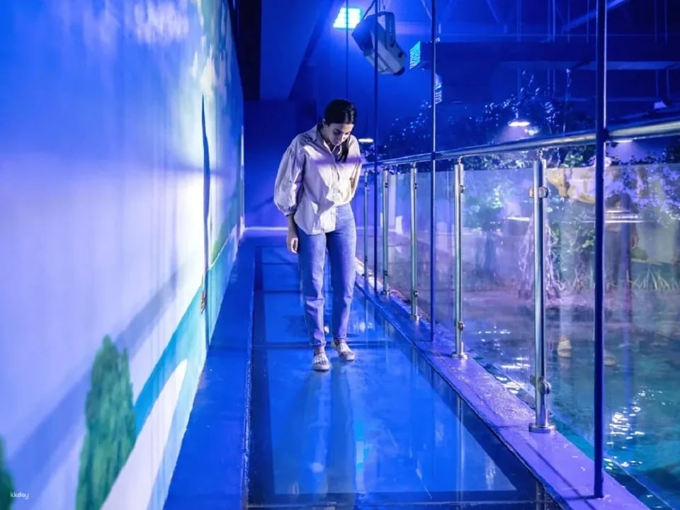 The National Aquarium Abu Dhabi Ticket