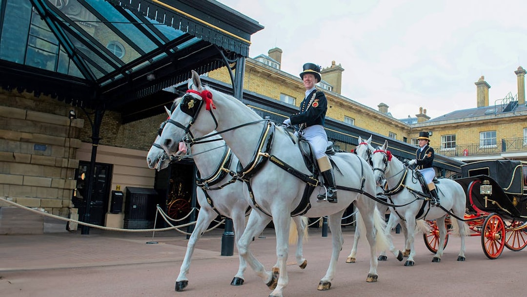 Windsor Grey horses pulling a carriage at The Royal Mews.