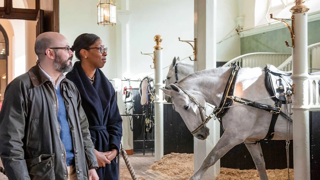 Visitors observing a white horse in harness at the Royal Mews stables.