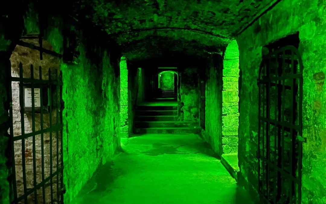 Late-Night Underground Vaults Terror Tour Image 6