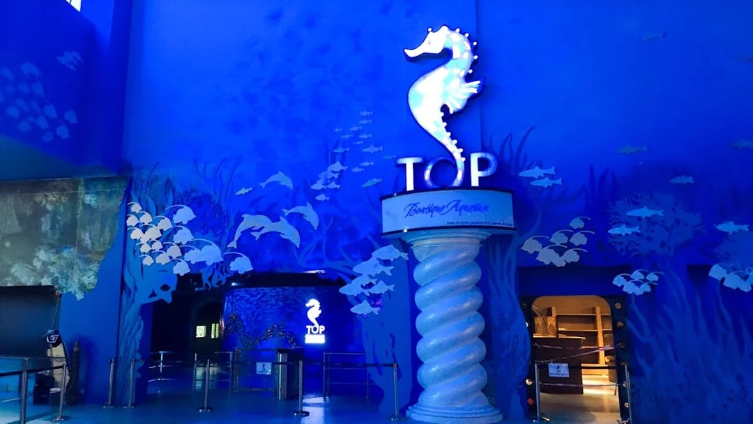 Entrance to the Penang Boutique Aquarium at The Top, featuring a seahorse sign and ocean-themed decor.