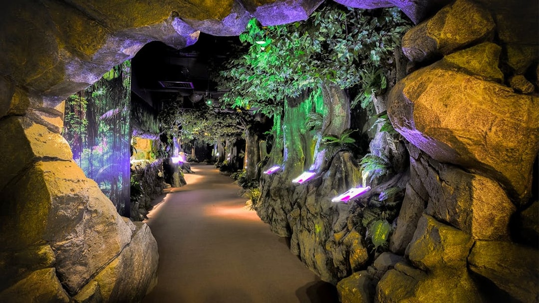 Pathway through illuminated cave and forest exhibit at The TOP Penang.