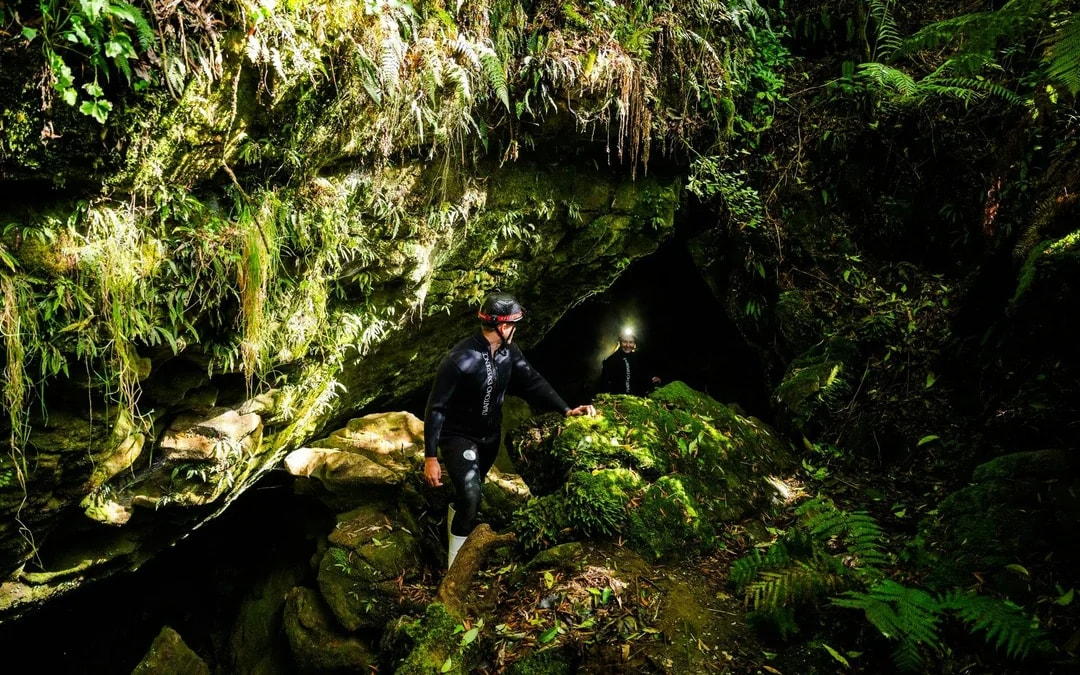 The Waitomo Experience : Okohua Glowworm Cave Tour Image 6