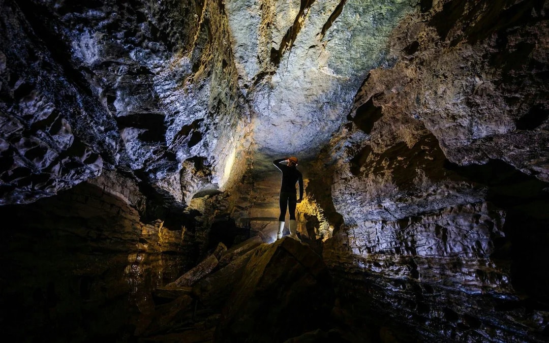 The Waitomo Experience : Okohua Glowworm Cave Tour Image 7