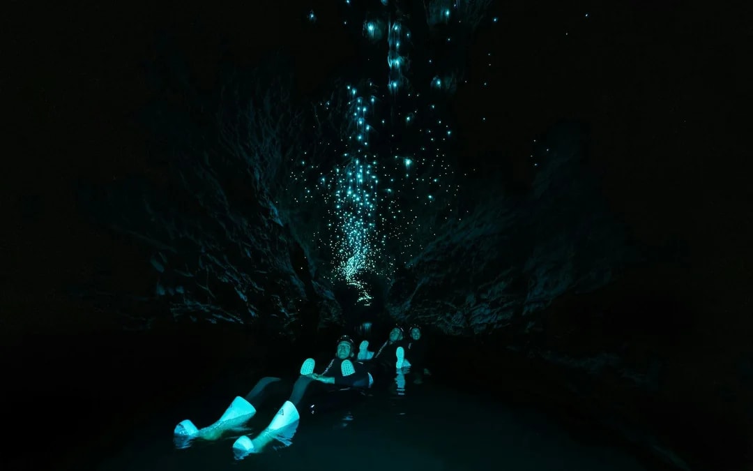The Waitomo Experience : Okohua Glowworm Cave Tour Image 8