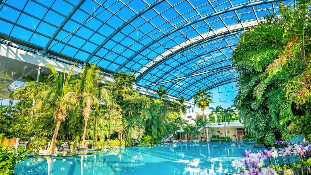 Therme Bucuresti indoor pool with lush tropical plants and glass ceiling.